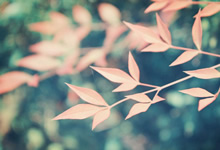 迈阿密国际3-1美洲狮，苏亚雷斯一射两传，德保罗破门，迈阿密州