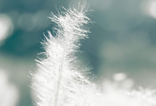 迈阿密国际3-1美洲狮，苏亚雷斯一射两传，德保罗破门，迈阿密州