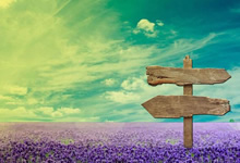 欧国联比赛胜方策略分析关键在哪