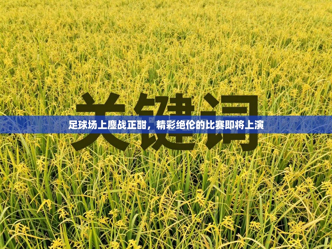 足球场上鏖战正酣，精彩绝伦的比赛即将上演  第2张